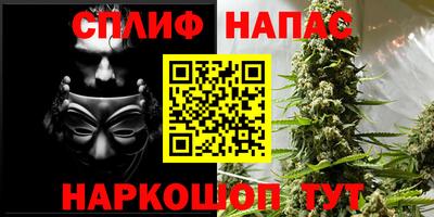 mdma Новозыбков