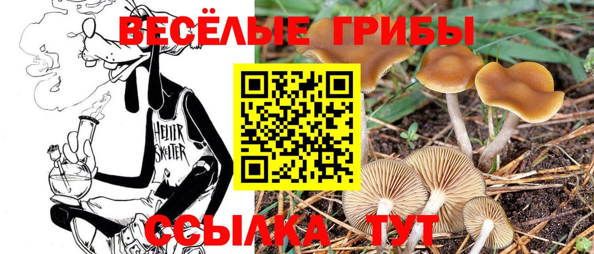 Галлюциногенные грибы Cubensis Пыть-Ях